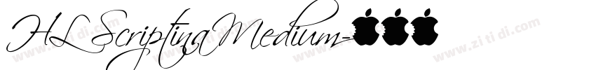 HL Scriptina Medium字体转换